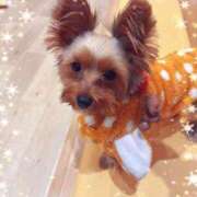 ヒメ日記 2025/12/27 14:02 投稿 藤木 人妻風俗チャンネル