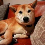 ヒメ日記 2026/01/02 19:01 投稿 藤木 人妻風俗チャンネル