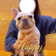 ヒメ日記 2026/01/03 11:08 投稿 藤木 人妻風俗チャンネル