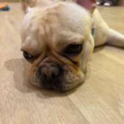 ヒメ日記 2026/01/13 14:33 投稿 藤木 人妻風俗チャンネル