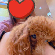 ヒメ日記 2026/01/27 15:10 投稿 藤木 人妻風俗チャンネル