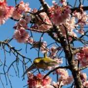 ヒメ日記 2026/02/04 18:28 投稿 藤木 人妻風俗チャンネル