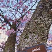 ヒメ日記 2026/02/06 14:45 投稿 藤木 人妻風俗チャンネル