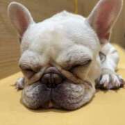 ヒメ日記 2026/02/07 23:23 投稿 藤木 人妻風俗チャンネル