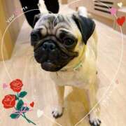 ヒメ日記 2026/02/14 21:32 投稿 藤木 人妻風俗チャンネル