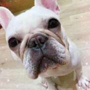 ヒメ日記 2026/02/16 19:37 投稿 藤木 人妻風俗チャンネル