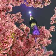 藤木 こんばんは👩‍🦰 人妻風俗チャンネル