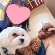 ヒメ日記 2026/03/07 19:18 投稿 藤木 人妻風俗チャンネル