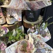 ヒメ日記 2026/03/12 14:59 投稿 藤木 人妻風俗チャンネル