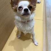 ヒメ日記 2026/03/27 22:05 投稿 藤木 人妻風俗チャンネル