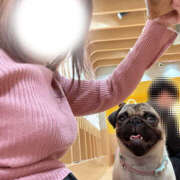 ヒメ日記 2026/04/02 11:40 投稿 藤木 人妻風俗チャンネル