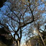 ヒメ日記 2026/04/03 18:38 投稿 藤木 人妻風俗チャンネル