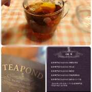 ヒメ日記 2025/11/08 08:50 投稿 松川(まつかわ) Ageha（あげは）