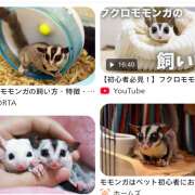 ヒメ日記 2025/12/23 10:07 投稿 松川(まつかわ) Ageha（あげは）