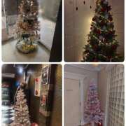 ヒメ日記 2025/12/24 10:41 投稿 松川(まつかわ) Ageha（あげは）