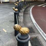 ヒメ日記 2026/03/15 20:03 投稿 松川(まつかわ) Ageha（あげは）