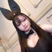 ヒメ日記 2025/11/08 16:00 投稿 ももな JAPAN CLUB BUNNY LOUNGE