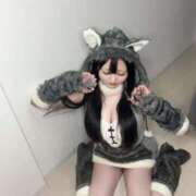 ヒメ日記 2025/11/09 08:01 投稿 ももな JAPAN CLUB BUNNY LOUNGE