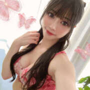 ヒメ日記 2025/10/31 20:44 投稿 かぐや ビギナーズ和歌山