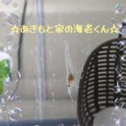 ヒメ日記 2025/12/21 01:25 投稿 あきもと 小田原人妻城