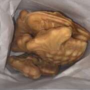 ヒメ日記 2025/11/12 19:04 投稿 うに 大阪和泉ちゃんこ