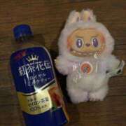 ヒメ日記 2025/11/05 07:01 投稿 オト ルパン