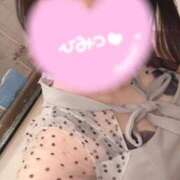 ヒメ日記 2025/11/24 12:22 投稿 かな チューリップ姫路店