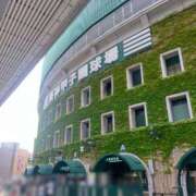 ヒメ日記 2025/10/30 11:31 投稿 れい 人妻・若妻デリヘル レディプレイス