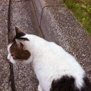 ヒメ日記 2026/01/09 13:44 投稿 神谷あかり 乳ビーナス(New Venus)