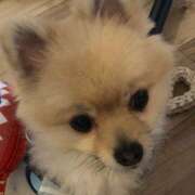 ヒメ日記 2026/02/24 15:23 投稿 神谷あかり 乳ビーナス(New Venus)