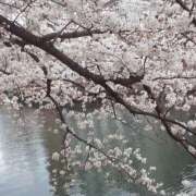 ヒメ日記 2026/04/04 13:55 投稿 神谷あかり 乳ビーナス(New Venus)