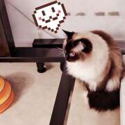 ヒメ日記 2026/08/09 12:47 投稿 神谷あかり 乳ビーナス(New Venus)
