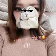 ヒメ日記 2025/11/20 09:49 投稿 りお 千葉人妻セレブリティ（ユメオト）