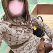 ヒメ日記 2026/01/16 10:00 投稿 りお 千葉人妻セレブリティ（ユメオト）