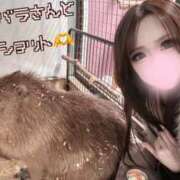 ヒメ日記 2026/01/27 11:08 投稿 りお 千葉人妻セレブリティ（ユメオト）