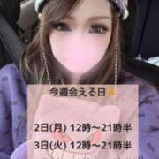 ヒメ日記 2026/03/01 17:08 投稿 りお 千葉人妻セレブリティ（ユメオト）