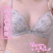 ヒメ日記 2026/03/26 01:20 投稿 つむぎ One More奥様 大宮店