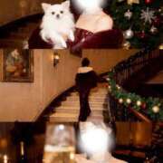 ヒメ日記 2026/03/05 11:06 投稿 叶　レイコ クラブ　ブレンダ難波店