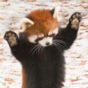 ヒメ日記 2025/10/23 09:02 投稿 春陽もか グランエステ東京 品川（シンデレラグループ）