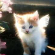 ヒメ日記 2025/11/13 02:04 投稿 春陽もか グランエステ東京 品川（シンデレラグループ）