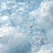 ヒメ日記 2026/01/25 04:00 投稿 春陽もか グランエステ東京 品川（シンデレラグループ）