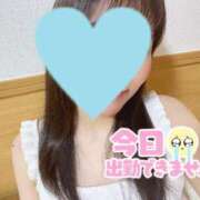 ヒメ日記 2025/11/06 08:40 投稿 こころ 妖精（ようせい）