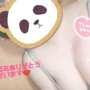 ヒメ日記 2025/11/18 16:59 投稿 ゆうり 鹿児島ちゃんこ霧島店