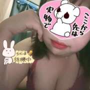 ヒメ日記 2026/07/14 14:59 投稿 ゆうり 鹿児島ちゃんこ霧島店