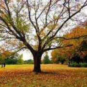 ヒメ日記 2025/11/22 12:07 投稿 双葉 りり バルボラ マリン