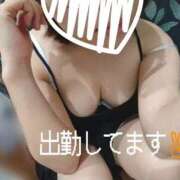 ヒメ日記 2025/11/12 16:15 投稿 あかね 奥様さくら梅田店