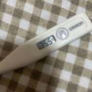 ヒメ日記 2025/12/17 15:27 投稿 森川　まりあ つくば風俗エキスプレス   ヌキ坂46