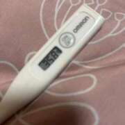 ヒメ日記 2026/01/15 15:18 投稿 森川　まりあ つくば風俗エキスプレス   ヌキ坂46