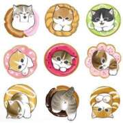 ヒメ日記 2025/10/26 22:46 投稿 チカ ラブコレクション