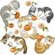 ヒメ日記 2025/11/05 00:31 投稿 チカ ラブコレクション